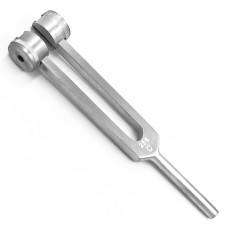 Камертон, С256