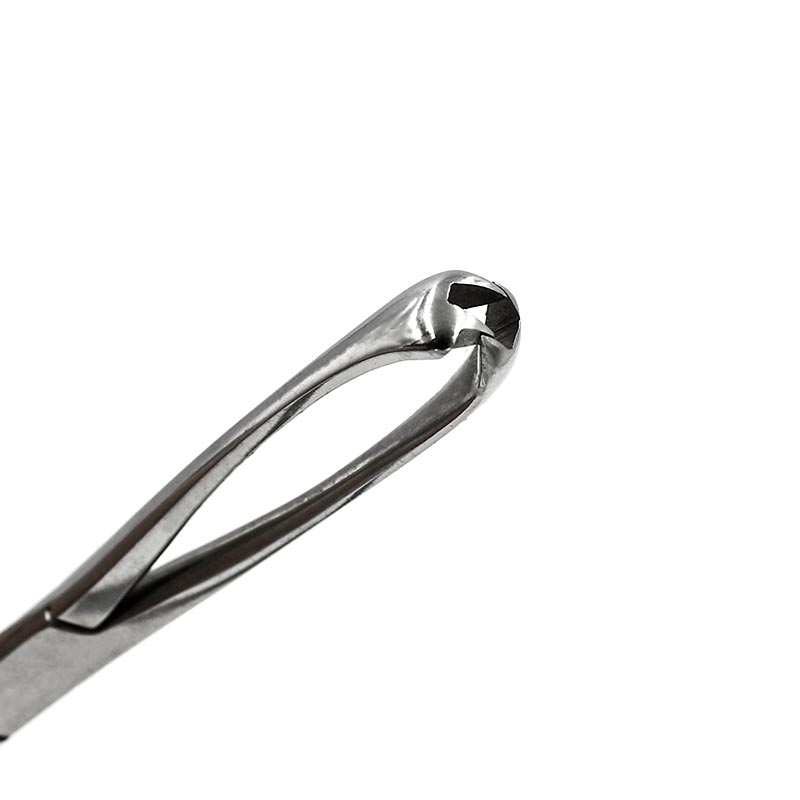 Щипцы маточные по Мюзо (Museux), прямые, острые, 2/2 зуба, большие, 24 см